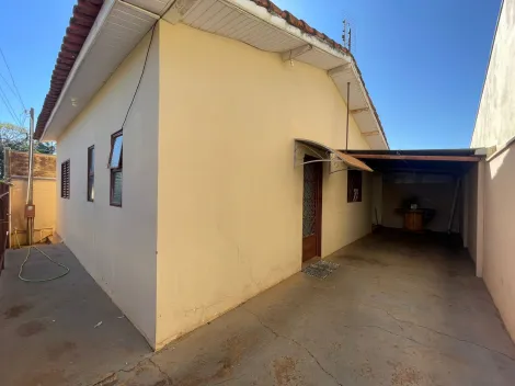 Olímpia - Vila Nova - Casas - Padrão - Venda