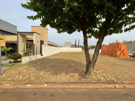 Olímpia - Residencial Jardim Donnabella - Terrenos - Condomínio - Venda