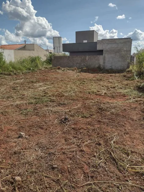 São José do Rio Preto - Fazenda Rio Preto - Terrenos - Padrão - Venda