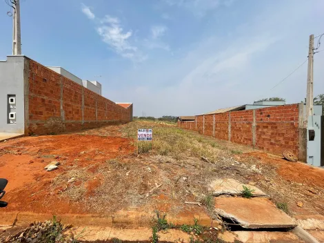 Olímpia - Parque Villa Lobos - Terrenos - Padrão - Venda